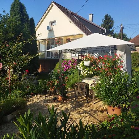 Naszály Kapuja vendégház Kosd Exterior foto
